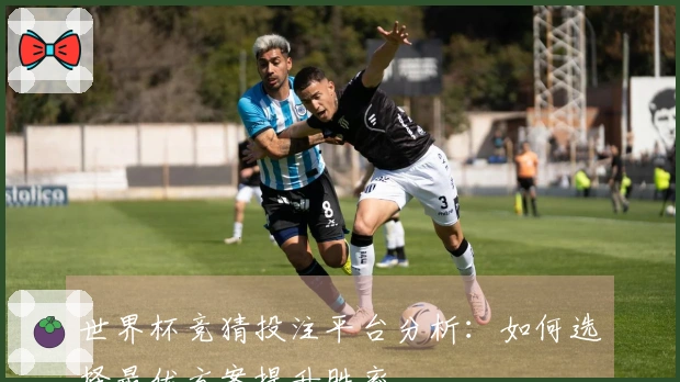 世界杯竞猜投注平台分析：如何选择最优方案提升胜率