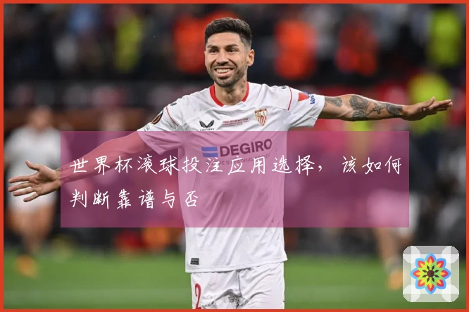 世界杯滚球投注应用选择，该如何判断靠谱与否