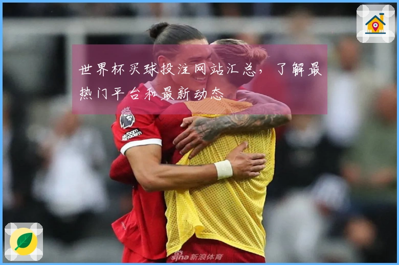世界杯买球投注网站汇总，了解最热门平台和最新动态