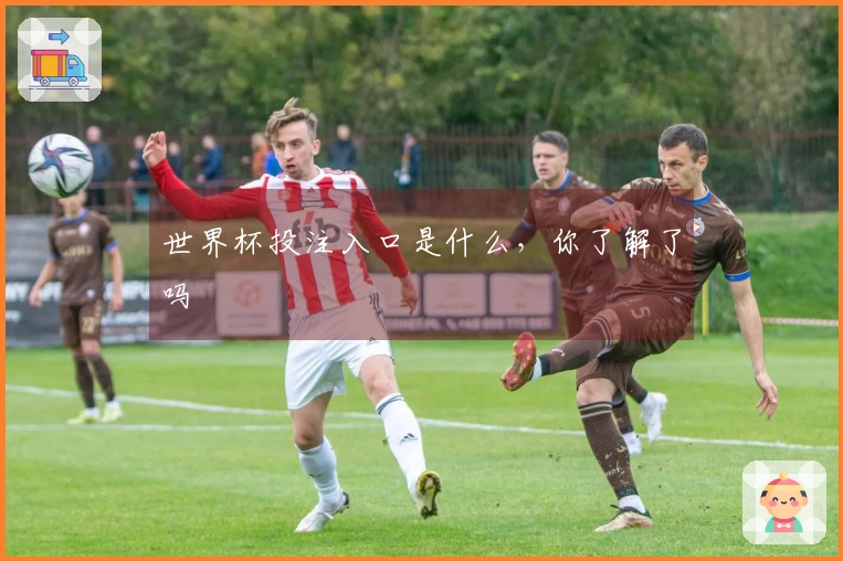 世界杯投注入口是什么，你了解了吗