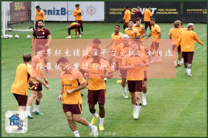 世界杯竞猜投注平台分析：如何选择最优方案提升胜率