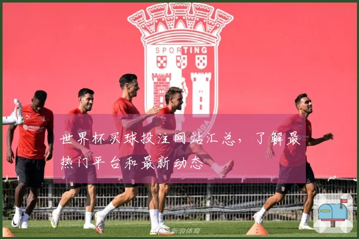 世界杯买球投注网站汇总，了解最热门平台和最新动态
