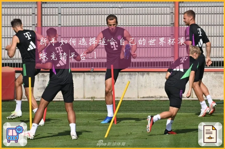 新手如何选择适合自己的世界杯滚球竞猜平台_1