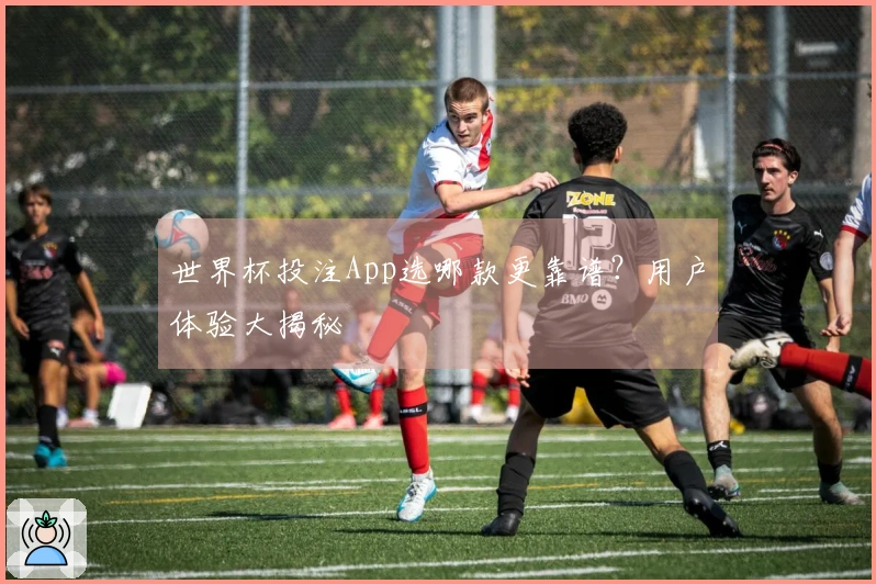 世界杯投注App选哪款更靠谱？用户体验大揭秘
