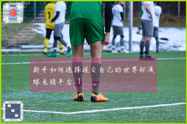 新手如何选择适合自己的世界杯滚球竞猜平台_1