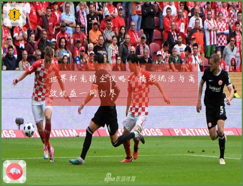 世界杯竞猜全攻略：精彩玩法与高效收益一网打尽