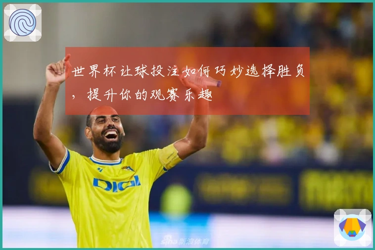 世界杯让球投注如何巧妙选择胜负，提升你的观赛乐趣