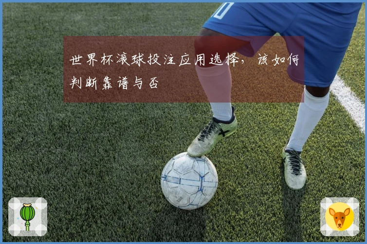 世界杯滚球投注应用选择，该如何判断靠谱与否